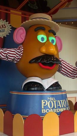 IMAG0515.jpg